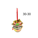 Pulmon Posterior 30 / 30