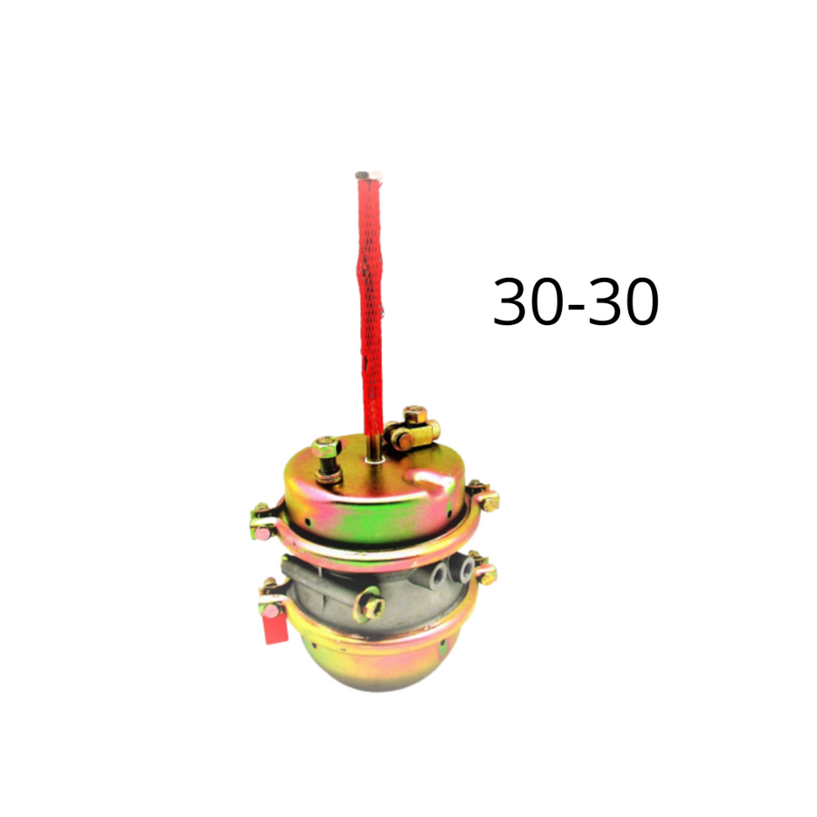 Pulmon Posterior 30 / 30