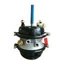 PULMON POSTERIOR LH/RH 30X30